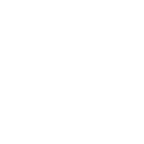 Case study: Carers and Disability Link