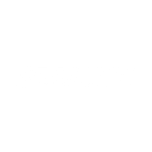 Case study: SeaLink Marine & Tourism