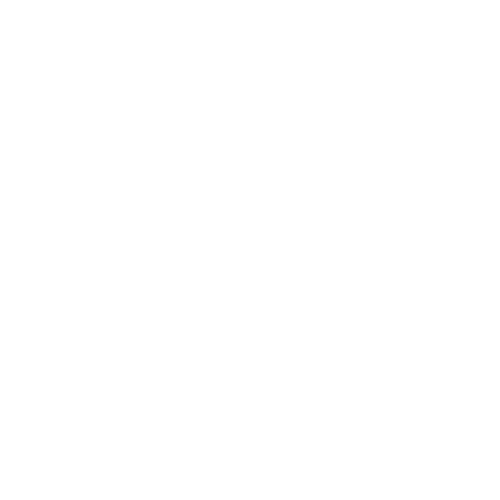 Case study: Slappa's Thongs